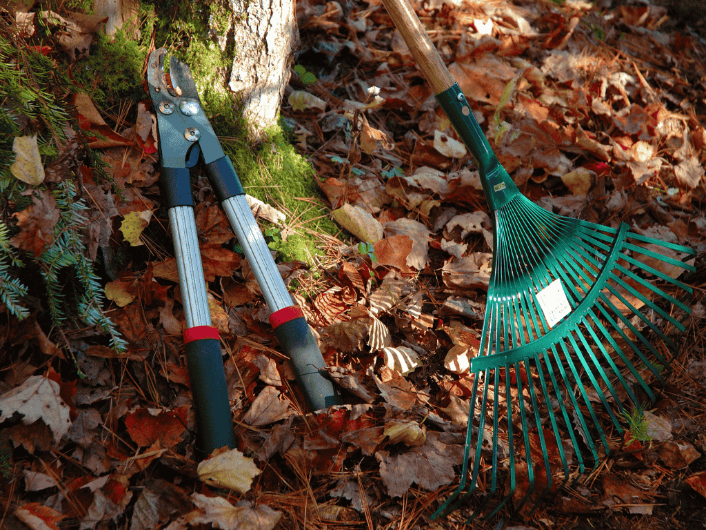How Skip Bins Make Yard Clean-Ups Easier in Queensland’s Subtropical Climate