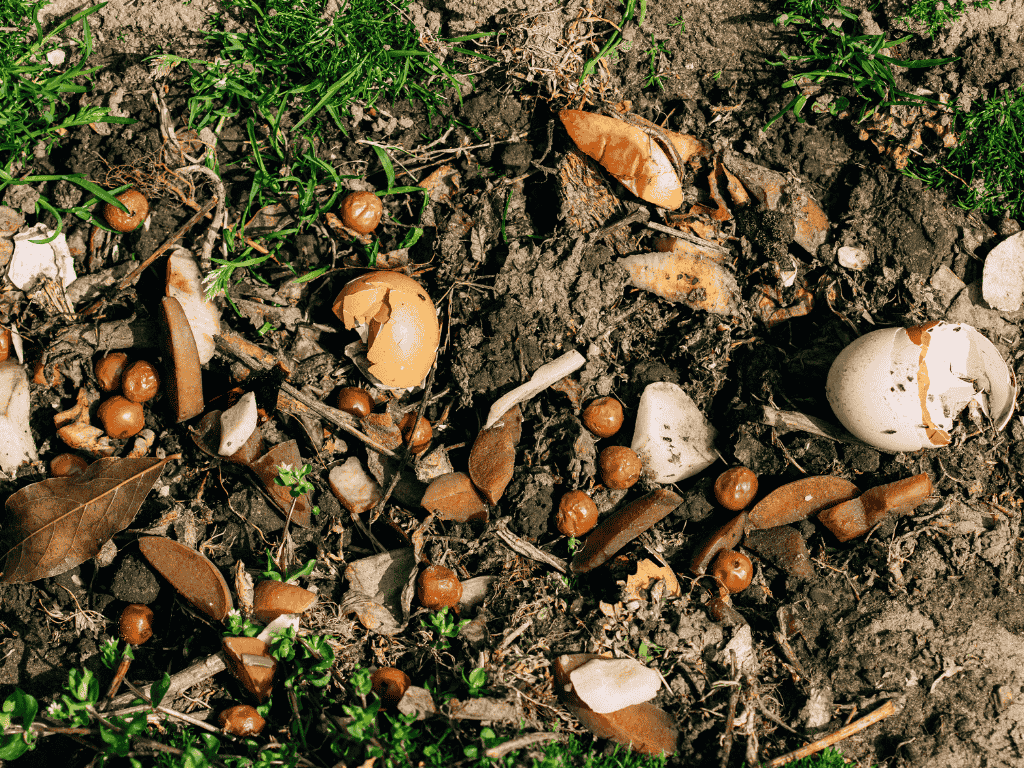 The Lifecycle of Green Waste: How JACS Bins Transforms Your Garden Clippings